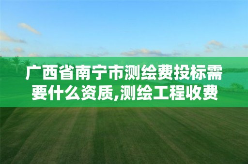 广西省南宁市测绘费投标需要什么资质,测绘工程收费标准2002。