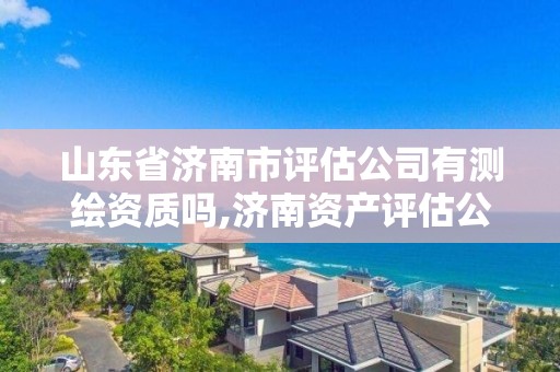 山东省济南市评估公司有测绘资质吗,济南资产评估公司哪家专业