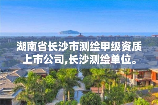 湖南省长沙市测绘甲级资质上市公司,长沙测绘单位。