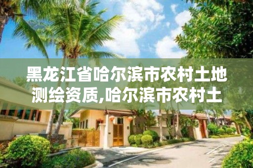 黑龙江省哈尔滨市农村土地测绘资质,哈尔滨市农村土地整治规划