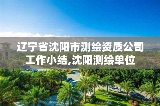 辽宁省沈阳市测绘资质公司工作小结,沈阳测绘单位