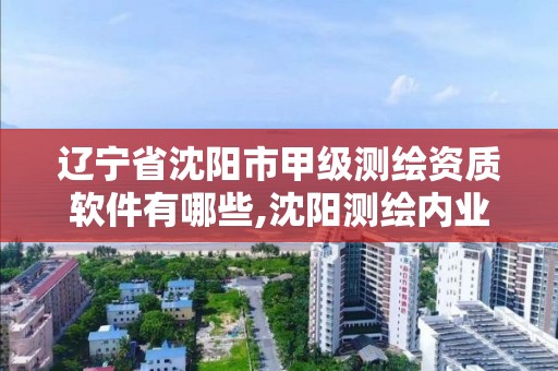 辽宁省沈阳市甲级测绘资质软件有哪些,沈阳测绘内业招聘