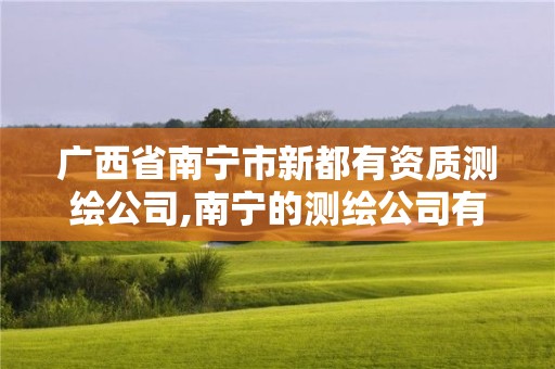 广西省南宁市新都有资质测绘公司,南宁的测绘公司有哪些