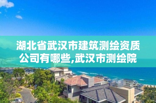 湖北省武汉市建筑测绘资质公司有哪些,武汉市测绘院怎么样