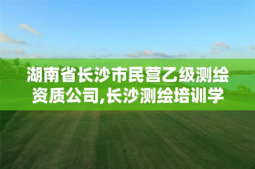 湖南省长沙市民营乙级测绘资质公司,长沙测绘培训学校