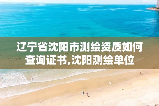 辽宁省沈阳市测绘资质如何查询证书,沈阳测绘单位