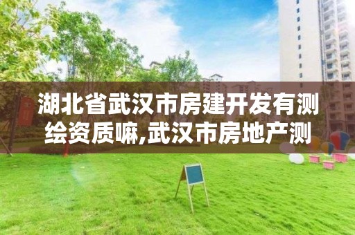 湖北省武汉市房建开发有测绘资质嘛,武汉市房地产测绘实施细则