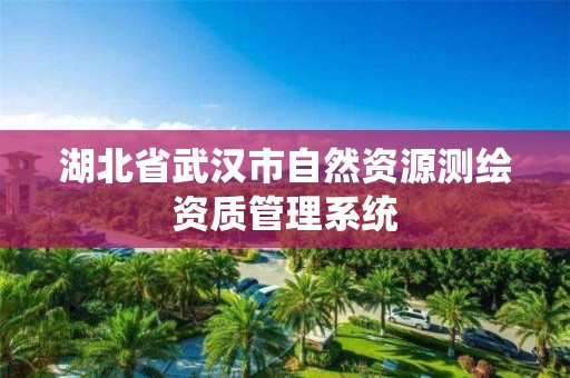 湖北省武汉市自然资源测绘资质管理系统