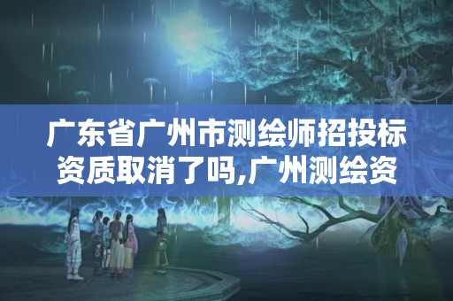 广东省广州市测绘师招投标资质取消了吗,广州测绘资质代办。