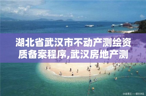 湖北省武汉市不动产测绘资质备案程序,武汉房地产测绘中心。