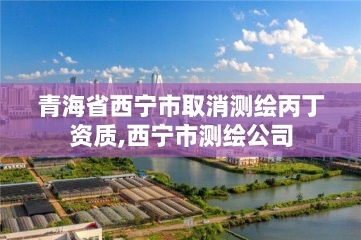 青海省西宁市取消测绘丙丁资质,西宁市测绘公司