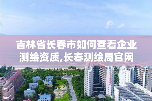 吉林省长春市如何查看企业测绘资质,长春测绘局官网