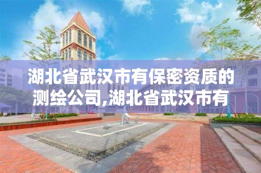 湖北省武汉市有保密资质的测绘公司,湖北省武汉市有保密资质的测绘公司有哪些。