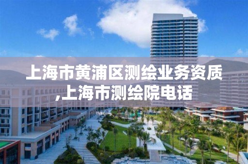 上海市黄浦区测绘业务资质,上海市测绘院电话