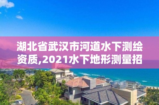 湖北省武汉市河道水下测绘资质,2021水下地形测量招标