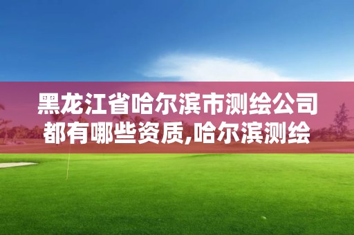 黑龙江省哈尔滨市测绘公司都有哪些资质,哈尔滨测绘内业招聘信息