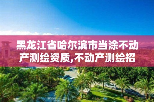 黑龙江省哈尔滨市当涂不动产测绘资质,不动产测绘招聘。