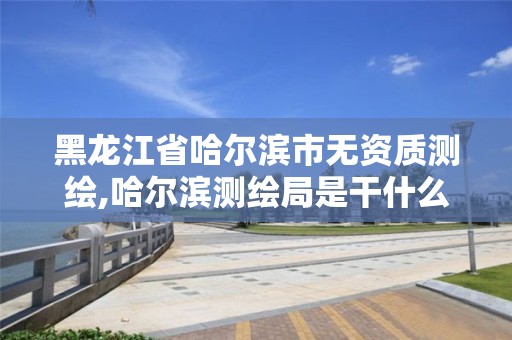 黑龙江省哈尔滨市无资质测绘,哈尔滨测绘局是干什么的