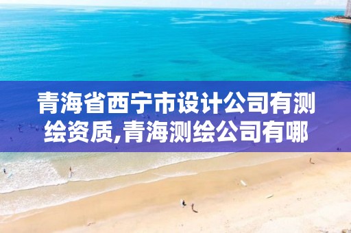 青海省西宁市设计公司有测绘资质,青海测绘公司有哪些