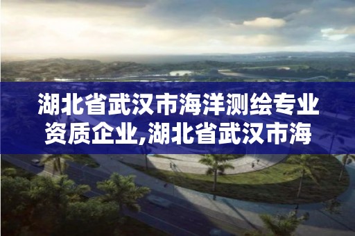 湖北省武汉市海洋测绘专业资质企业,湖北省武汉市海洋测绘专业资质企业有哪些