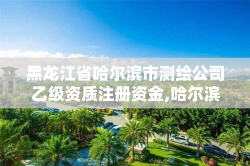 黑龙江省哈尔滨市测绘公司乙级资质注册资金,哈尔滨测绘局是干什么的。