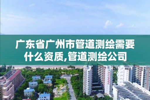 广东省广州市管道测绘需要什么资质,管道测绘公司