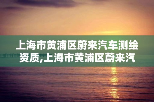 上海市黄浦区蔚来汽车测绘资质,上海市黄浦区蔚来汽车测绘资质查询