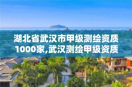 湖北省武汉市甲级测绘资质1000家,武汉测绘甲级资质公司