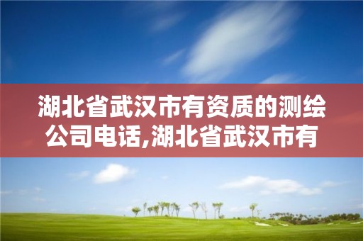 湖北省武汉市有资质的测绘公司电话,湖北省武汉市有资质的测绘公司电话号码。