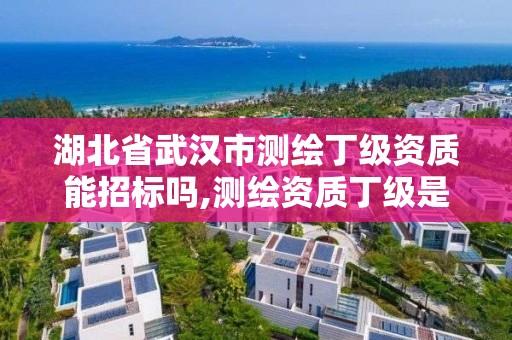 湖北省武汉市测绘丁级资质能招标吗,测绘资质丁级是什么意思