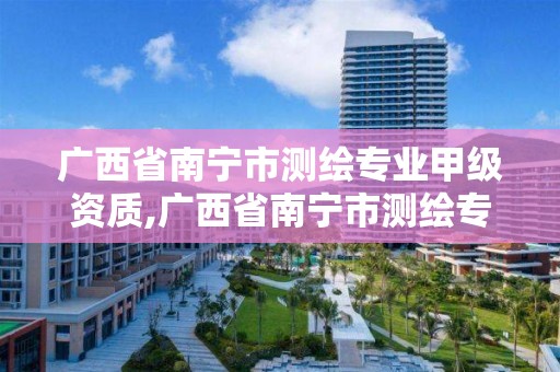 广西省南宁市测绘专业甲级资质,广西省南宁市测绘专业甲级资质公司名单