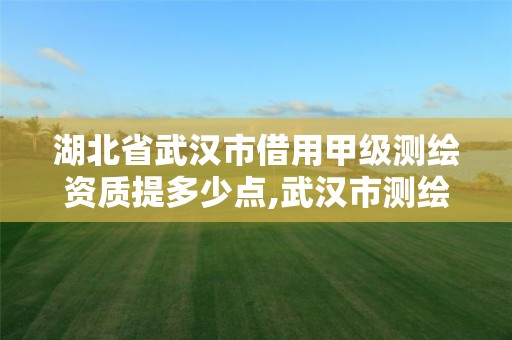 湖北省武汉市借用甲级测绘资质提多少点,武汉市测绘工程技术规定。