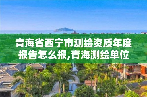 青海省西宁市测绘资质年度报告怎么报,青海测绘单位。