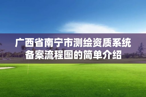 广西省南宁市测绘资质系统备案流程图的简单介绍