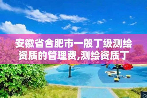 安徽省合肥市一般丁级测绘资质的管理费,测绘资质丁级申报条件。