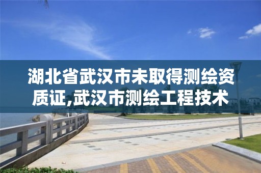 湖北省武汉市未取得测绘资质证,武汉市测绘工程技术规定