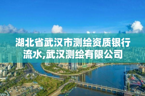 湖北省武汉市测绘资质银行流水,武汉测绘有限公司