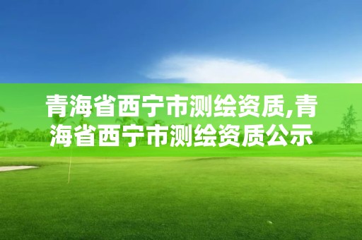 青海省西宁市测绘资质,青海省西宁市测绘资质公示