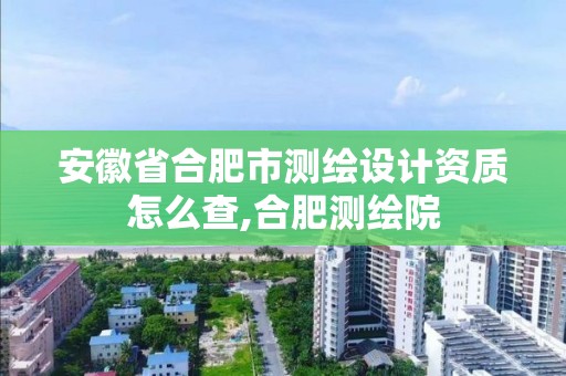 安徽省合肥市测绘设计资质怎么查,合肥测绘院