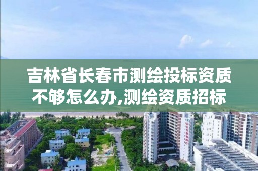 吉林省长春市测绘投标资质不够怎么办,测绘资质招标时如何设置。