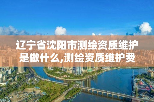 辽宁省沈阳市测绘资质维护是做什么,测绘资质维护费用