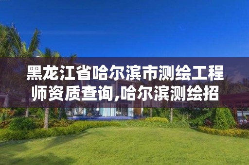 黑龙江省哈尔滨市测绘工程师资质查询,哈尔滨测绘招聘信息。