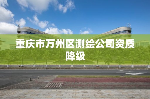 重庆市万州区测绘公司资质降级