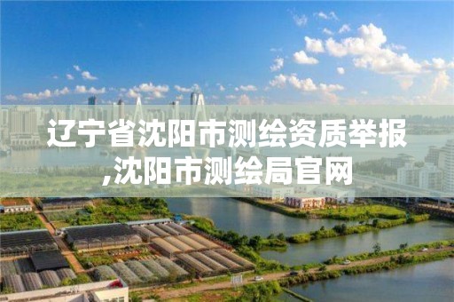 辽宁省沈阳市测绘资质举报,沈阳市测绘局官网