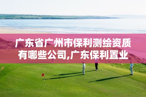 广东省广州市保利测绘资质有哪些公司,广东保利置业广州项目