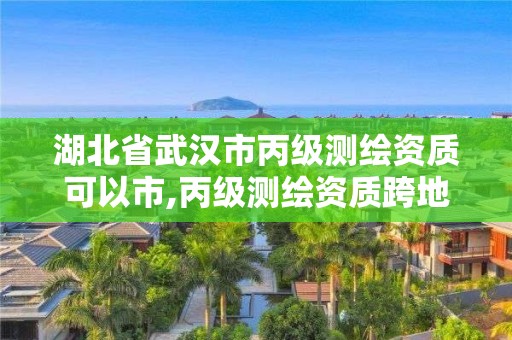 湖北省武汉市丙级测绘资质可以市,丙级测绘资质跨地市