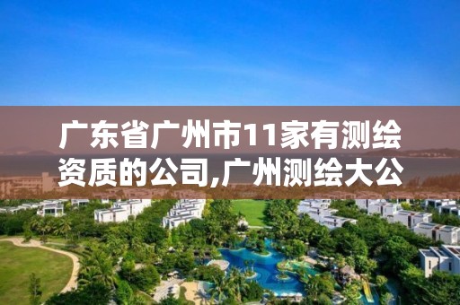 广东省广州市11家有测绘资质的公司,广州测绘大公司有哪些