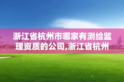 浙江省杭州市哪家有测绘监理资质的公司,浙江省杭州市哪家有测绘监理资质的公司