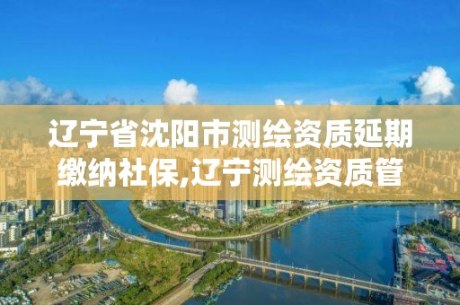 辽宁省沈阳市测绘资质延期缴纳社保,辽宁测绘资质管理系统登录