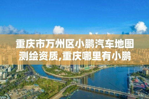 重庆市万州区小鹏汽车地图测绘资质,重庆哪里有小鹏汽车